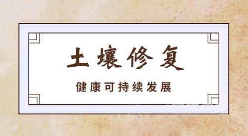 干好土壤修復(fù)精細活 這幾大要素缺一不可