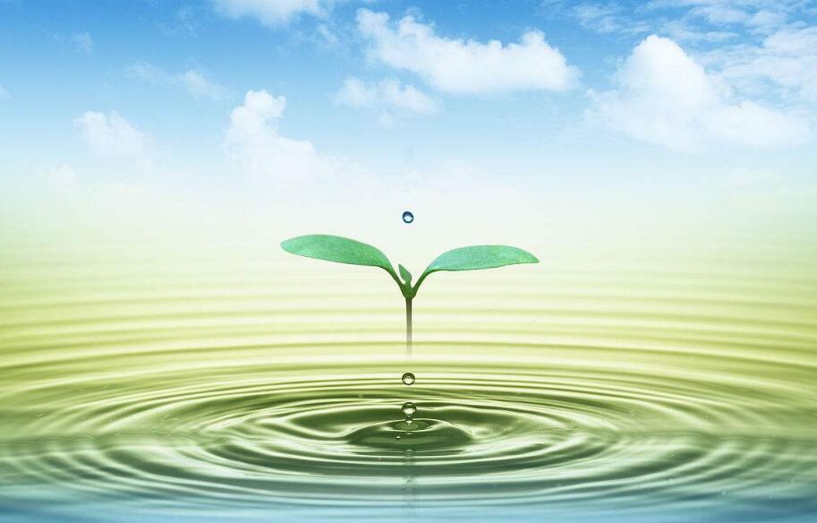 多重壁壘與千億契機(jī)并存：污泥處置如何實(shí)現(xiàn)彎道超車(chē)