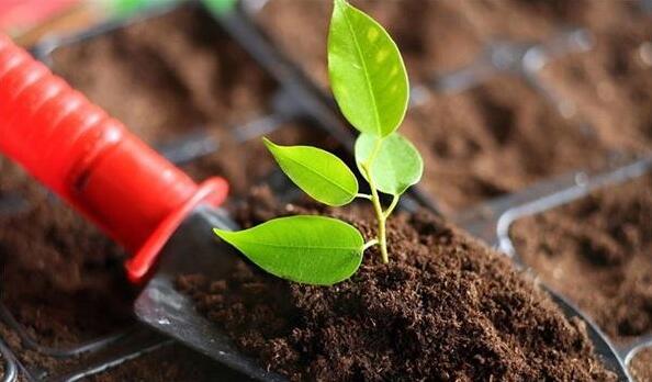 環(huán)資委：土壤污染防治法今年有望頒布 建議將長江保護(hù)法列入立法規(guī)劃