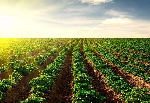 土壤修復市場：環(huán)保產業(yè)的最后一塊“蛋糕”