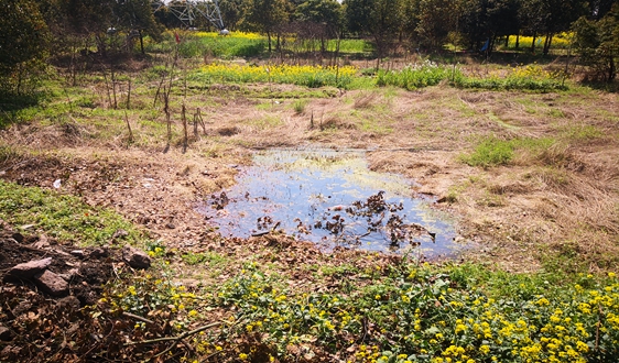 市政污泥無害化處置技術(shù)研究與可行性探討